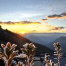 春節走春不塞車 太平山旅遊懶人包一次看