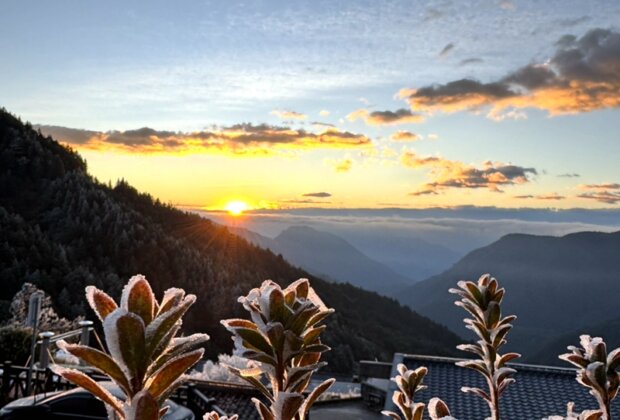 春節走春不塞車 太平山旅遊懶人包一次看