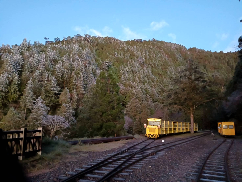 春節走春不塞車 太平山旅遊懶人包一次看