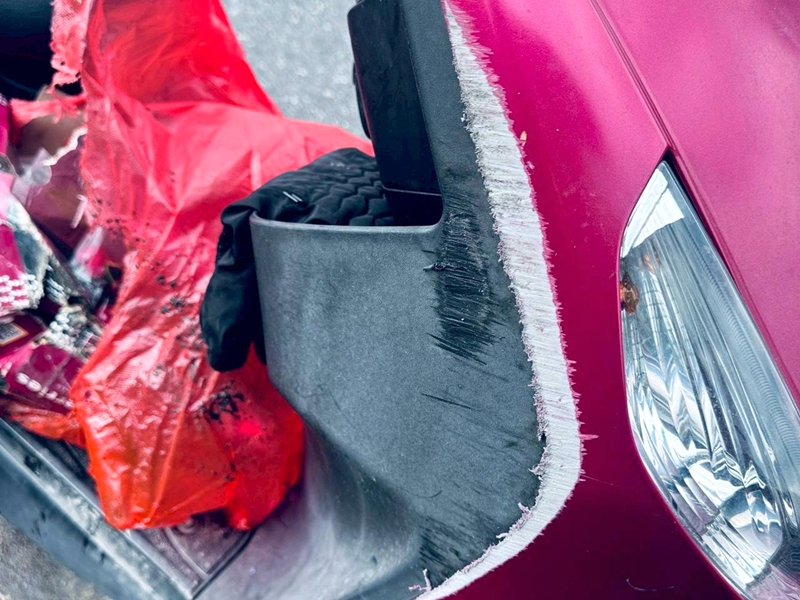 蘇澳移山路美猴王攔路 女騎士閃不及棃田!