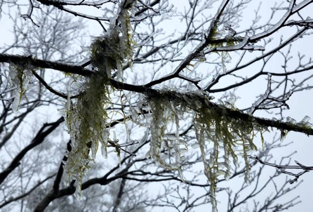 太平山變身冬景冰霰霧淞現身 入夜恐迎降雪