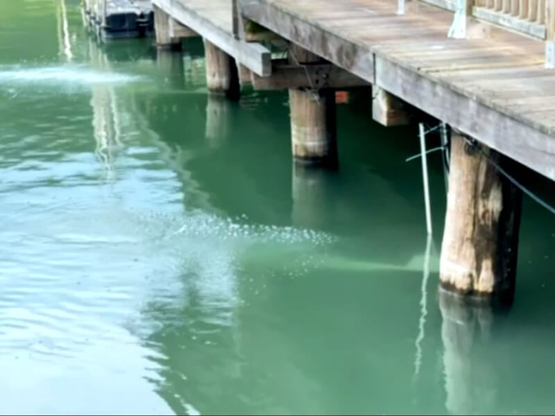 梅花湖水質偏綠 縣府裝淨水設備改善水質