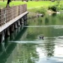 梅花湖水質偏綠 縣府裝淨水設備改善水質