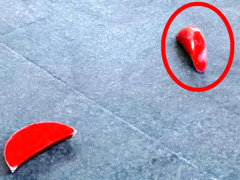 跟著土地公春遊羅東 千人祈福迎好運