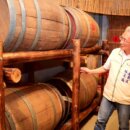 頭城金柑「藏金柑」 藏酒酒莊奪世界大金牌