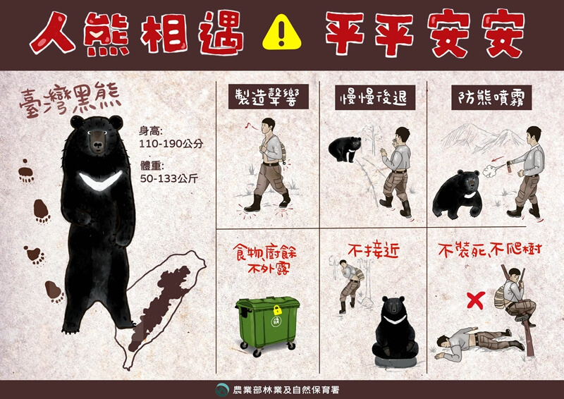 宜蘭首拍台灣黑熊 棲蘭山林道現蹤