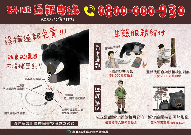 宜蘭首拍台灣黑熊 棲蘭山林道現蹤