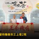 宜蘭春茶有機茶王每斤上看2萬