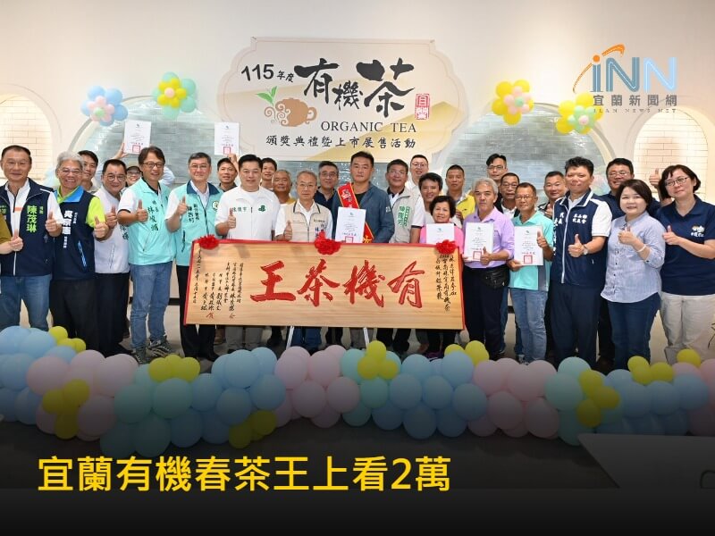 宜蘭春茶有機茶王每斤上看2萬